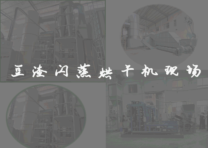 豆渣闪蒸烘干机