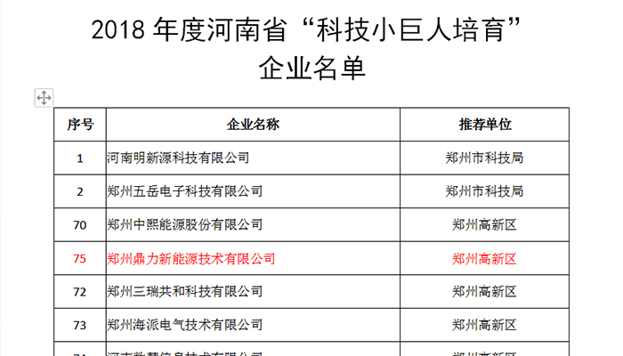 科技小巨人奖